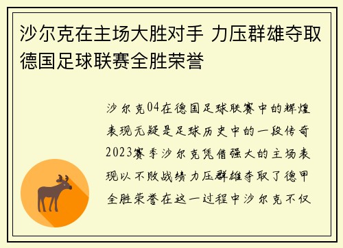 沙尔克在主场大胜对手 力压群雄夺取德国足球联赛全胜荣誉