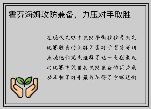 霍芬海姆攻防兼备，力压对手取胜